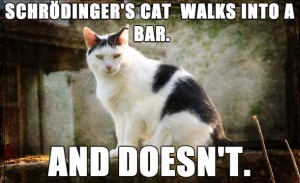 schrodingers-cat-walks-into-a-bar-meme