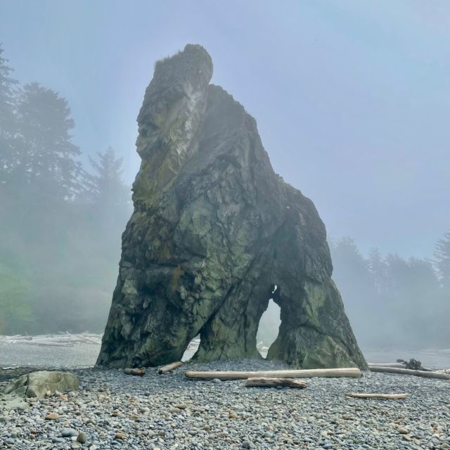 Gorilla petrified by the sheer beauty of the Pacific in Olympic National Park. #olympicnationalpark #seastacks #seastack