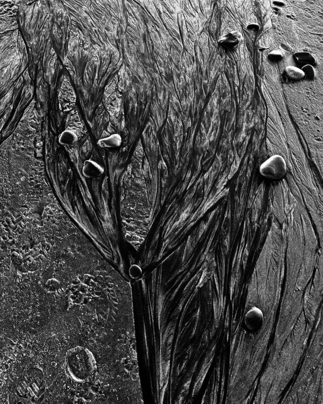 There is water flowing underground (and then into the ocean) #water #sand #blackandwhite #rock